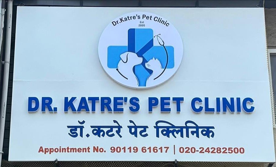 Pet clinic gallery 5