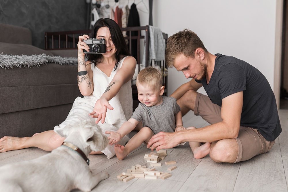 Complete pet care services